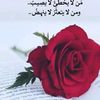 mostafa.hamia