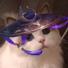 schuwarzer.de.fiz
