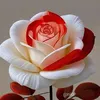 .asad217