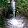 aresha7549