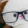 vionna_jd