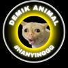 danu4143