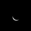 moon_luvbot