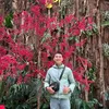 nguyen.son5051