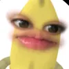 definot_rhean