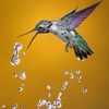 marweni.rachid4