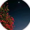 noor.fatima72593