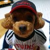 lg.twins0