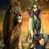 user7881232155305
