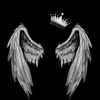 user244415553