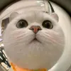 quoc.nguyen56