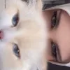 lxy.annn