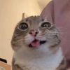 crazygorl.lolz