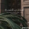 jana.mohamed3735