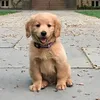 geronimo_987