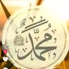 user4600600201537