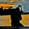 shiponf6