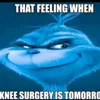 kneesurgery102