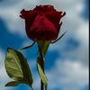 .ran_12
