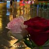 user5461675001260