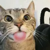 mamayavdubaae
