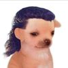 _alanfxd