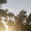saiidismail4