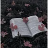 las_primis_lectoraas