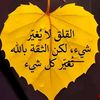 user1059813751272