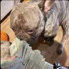 makingmoneyotp3