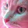 sarah.oul3