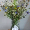 mariam.kenan