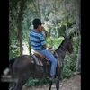 pineda.c.j.b