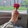 notexistant_lycheu