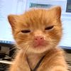 momonws12_2