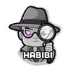 habibi051204