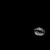 almaleve0_1