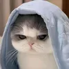 ye4hb0y0