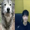 maia.love.bangchan1997