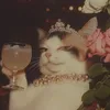 cat166707
