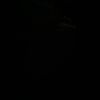 salimaa.444