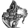 sipalingnakgunung