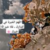 laila.diko