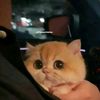 its_oky67