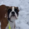 ella_56721