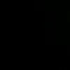 rou_291