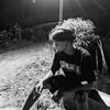 pan_twentytwo