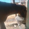 rezky_967