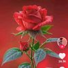 ose16420