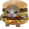 alouise2